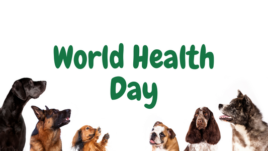 Should we be paying attention to our dogs health?