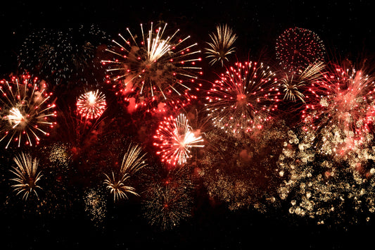 Top Doggy Tips for Bonfire Night