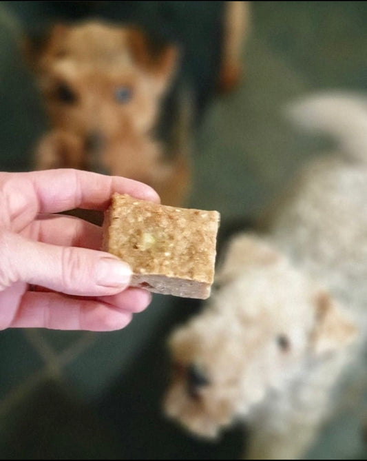 Can you say YUM? Breakfast Bars by Vita Canis
