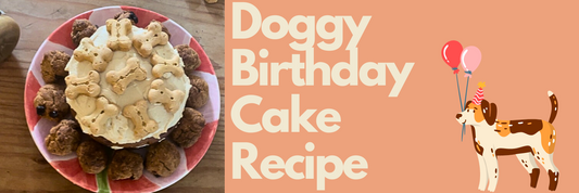 Nairobi's 1st Birthday & How to make a Dog Birthday Cake