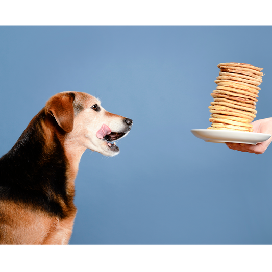 Dog-Friendly Peanut Butter Pancake Recipe!