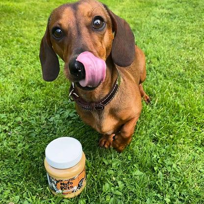 The Original Poochbutter - Peanut Butter for Dogs